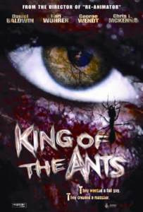 kingants2