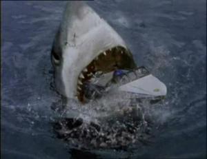 sharkattack32