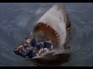 sharkattack33