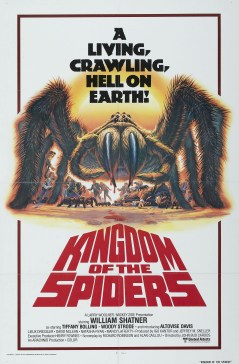 kingdomspiders1